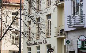 Penzion Alfa Podebrady